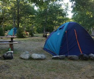 camping pucón